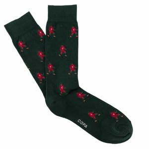 5171-008-chaussettes-portugal-2016-vert-40-46