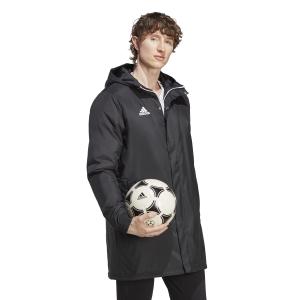 product/a/d/adidas_ib6076_6_apparel_on_model_walking_view_white.jpg