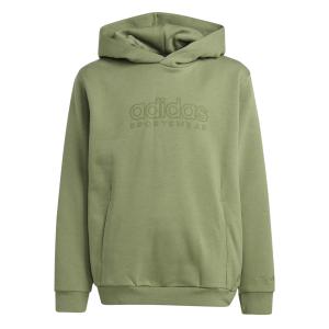 iw0919-sweatshirt-a-capuche-enfant-adidas-all-szn-graphics-tengrn