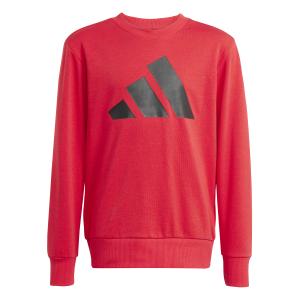 product/a/d/adidas_jd2099_purrub-black_1.jpg