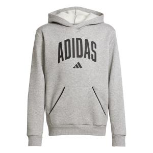 jv7336-sweatshirt-a-capuche-enfant-adidas-essentials-collegiate-typography-mgreyh-black