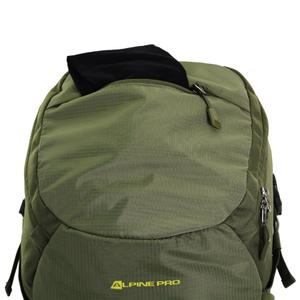 product/a/l/alpine-pro-ubgd200512-ivy-green-7.jpg