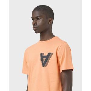 product/a/v/avnier_avtsso-melon-avstudio_4.jpg