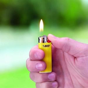 product/b/i/bic_788113_2.jpg