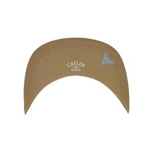 product/c/a/cayler-sons_cs3001-04079_4.jpg