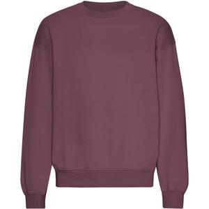 cs1012-dustyplum-sweatshirt-col-rond-oversize-colorful-standard-organic-dusty-plum-dusty-plum
