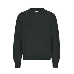 cs5088-huntergreen-pull-oversize-colorful-standard-hunter-green-hunter-green