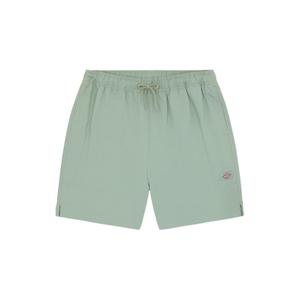 product/d/i/dickies_dk0a4xb2k361_iceberg-green_1.jpg
