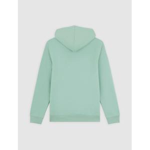 product/d/i/dickies_dk0a4xcdk361_iceberg-green_2.jpg