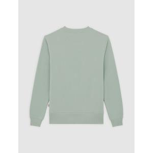 product/d/i/dickies_dk0a4xcek361_iceberg-green_2.jpg