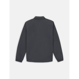 product/d/i/dickies_dk0a4xewch01_charcoal-grey_2.jpg
