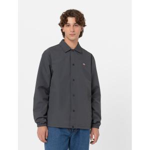 product/d/i/dickies_dk0a4xewch01_charcoal-grey_3.jpg
