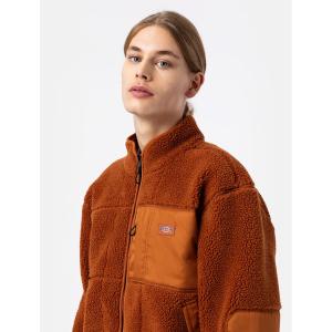 product/d/i/dickies_dk0a4xft-iex_gingerbread_4.jpg