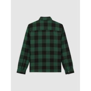 product/d/i/dickies_dk0a4xgrpin1_vert_5.jpg