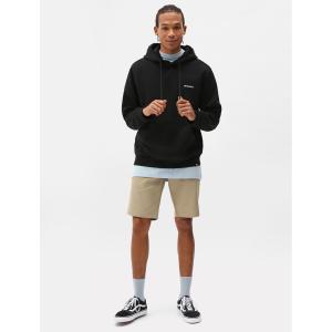 product/d/i/dickies_dk0a4xngf021_3.jpg