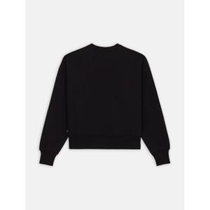 product/d/i/dickies_dk0a4xyxblk1_noir_2.jpg