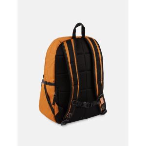 product/d/i/dickies_dk0a4y330bd1_brown-duck_2.jpg