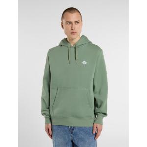 product/d/i/dickies_dk0a4y6pl191_sea-spray_3.jpg