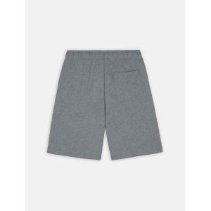product/d/i/dickies_dk0a4y83gym1_grey-melange_2.jpg
