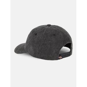 product/d/i/dickies_dk0a4y9iblk1_black_5.jpg