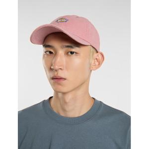 product/d/i/dickies_dk0a4y9ik391_lilas_3.jpg