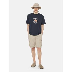 product/d/i/dickies_dk0a4yacss01_sandstone_3.jpg