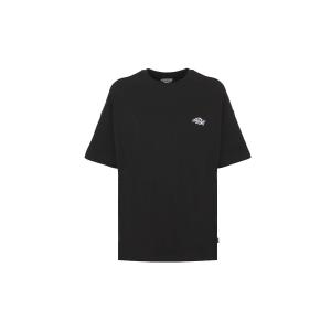 product/d/i/dickies_dk0a4yaiblk1_black_1.jpg