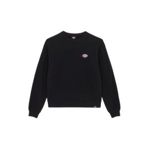 product/d/i/dickies_dk0a4yqdblk1_black_1.jpg