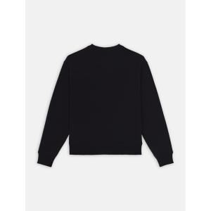 product/d/i/dickies_dk0a4z2xblk1_black_2.jpg
