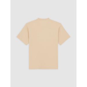 product/d/i/dickies_dk0a4z4lf951_irish-cream_2.jpg