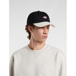 product/d/i/dickies_dk0a4z6lblk1_black_3.jpg