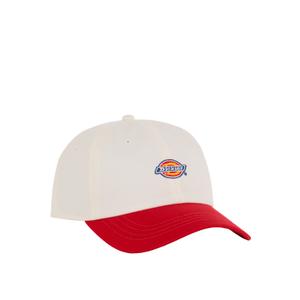product/d/i/dickies_dk0a4z6lc481_egret_1.jpg