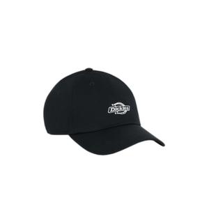 dk0a4z6nblk1-casquette-de-baseball-dickies-essential-dad-black-tu