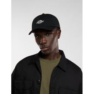 product/d/i/dickies_dk0a4z6nblk1_black_2.jpg