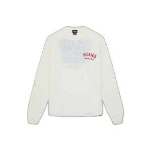 product/d/i/dickies_dk0a4z7bc481_egret_1.jpg