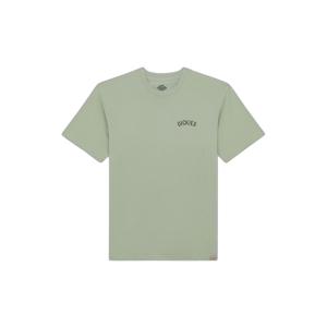 dk0a4z99k361-t-shirt-dickies-snake-iceberg-green