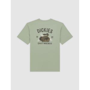 product/d/i/dickies_dk0a4z99k361_iceberg-green_2.jpg
