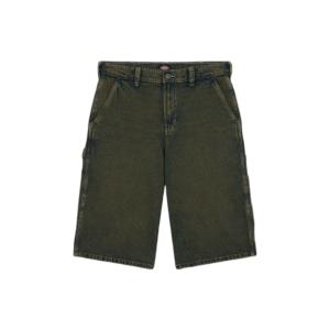 product/d/i/dickies_dk0a4zask571_green-tone-fade_1.jpg