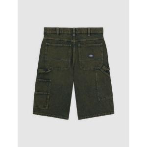 product/d/i/dickies_dk0a4zask571_green-tone-fade_2.jpg