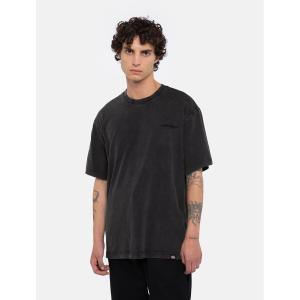 product/d/i/dickies_dk0a866bh861_dble-dye-acd-bl_3.jpg