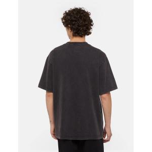 product/d/i/dickies_dk0a866bh861_dble-dye-acd-bl_4.jpg