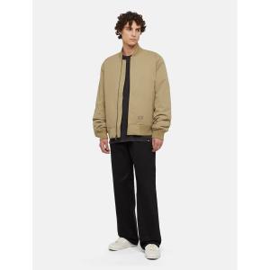 product/d/i/dickies_dk0a866bh861_dble-dye-acd-bl_5.jpg