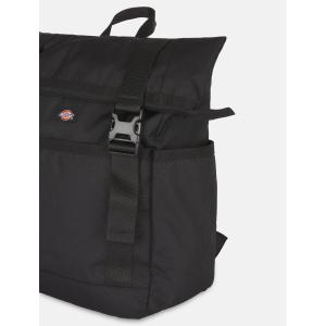 product/d/i/dickies_dk0a87mxblk1_black_3.jpg