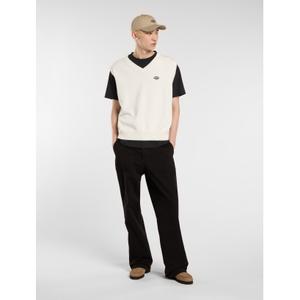 product/d/i/dickies_dk0a87oyc481_egret_3.jpg