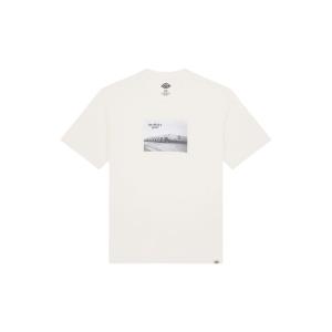 product/d/i/dickies_dk0a87ymc481_beige_1.jpg