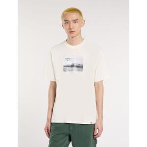 product/d/i/dickies_dk0a87ymc481_beige_3.jpg