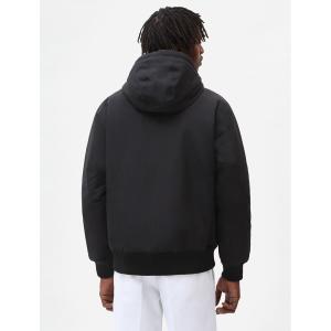 product/d/k/dk0a4xg8-blk_1_1.jpg