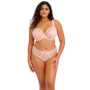 product/e/l/elomi_el4496pau_1.jpg
