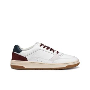 u56m5a-08522-c1za7-baskets-geox-sedral-court-white-wine