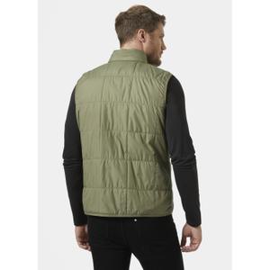 product/h/e/helly-hansen_53351-421_lav-green_4.jpg